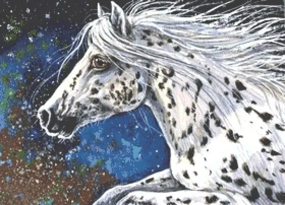 (image for) Appaloosa Horse